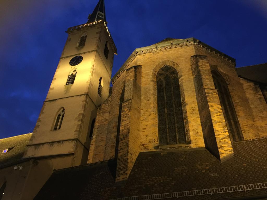 La Cour Des Cordonniers, Centre Cathedrale Petite France Apartamento Estrasburgo Exterior foto